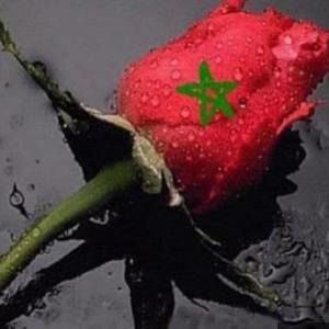 Meet your Posher, Hassnae